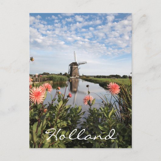 Carte Postale Moulin à vent et fleurs de dahlia roses en Holland (Devant)