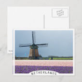 Carte Postale Moulin à vent traditionnel aux fleurs roses et vio (Devant / Derrière)