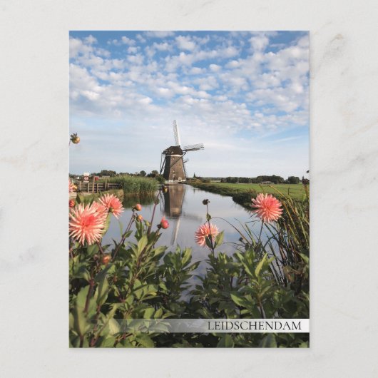 Carte Postale Moulin à vin et fleurs en Leidschendam (Devant)