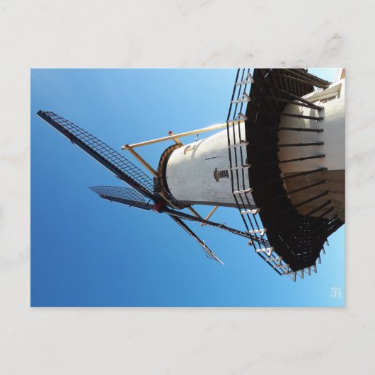 Carte Postale Moulin aux Pays-Bas, à Willemstad. (Devant)