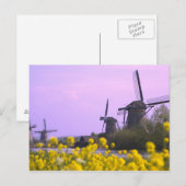 Carte Postale Moulins à vent le long du canal à Kinderdijk, (Devant / Derrière)
