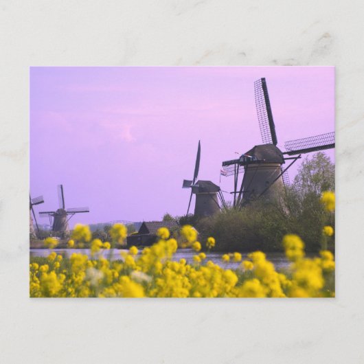 Carte Postale Moulins à vent le long du canal à Kinderdijk, (Devant)