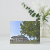 Carte Postale Mound House et Strangler Fig, Floride (Debout devant)