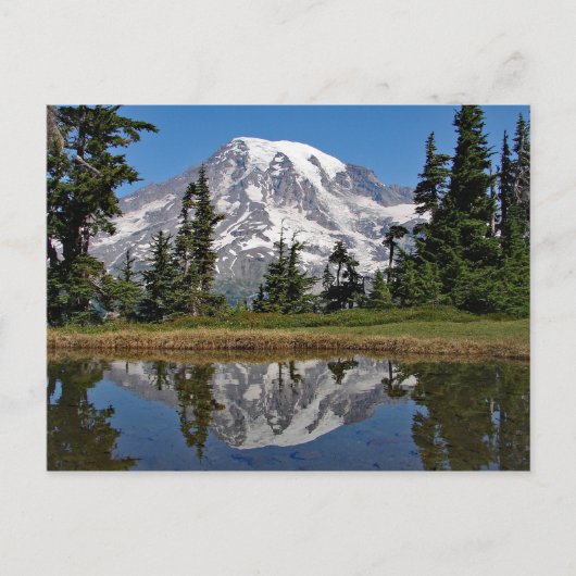Carte postale Mount Rainier 2 (Devant)