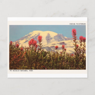 Carte postale Mount Rainier Indian Paintbrush