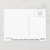 Carte Postale Mountain Austria Photo : Colette(CHG) (Dos)