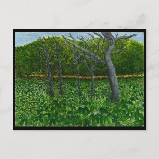 Carte Postale Mountain Serenity Postcard (Devant)