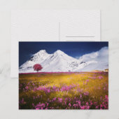 CARTE POSTALE MOUNTAINS FIELD FLOWERS LANDSCAPE POSTCROSSING (Devant / Derrière)