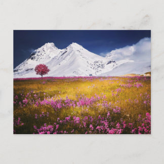 CARTE POSTALE MOUNTAINS FIELD FLOWERS LANDSCAPE POSTCROSSING