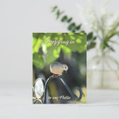 Carte Postale Mourning Dove Dropping in to Say Hello (Debout devant)