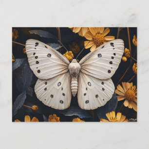 Carte Postale Mousse Blanche Reposant Parmi Les Fleurs Jaunes