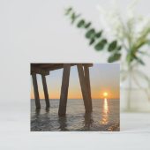 Carte Postale Mousse de mer  (Debout devant)