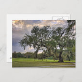 Carte Postale Mousse espagnole sur chêne vivant à La Nouvelle-Or (Devant / Derrière)