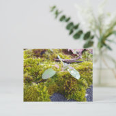 Carte Postale Mousses avec de minuscules Fleurs, Éveil de printe (Debout devant)