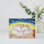 CARTE POSTALE MOUSTIQUES (Debout devant)
