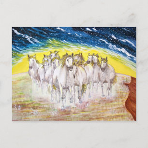 CARTE POSTALE MOUSTIQUES