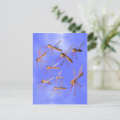 Carte Postale Moustiques amusants (Debout devant)