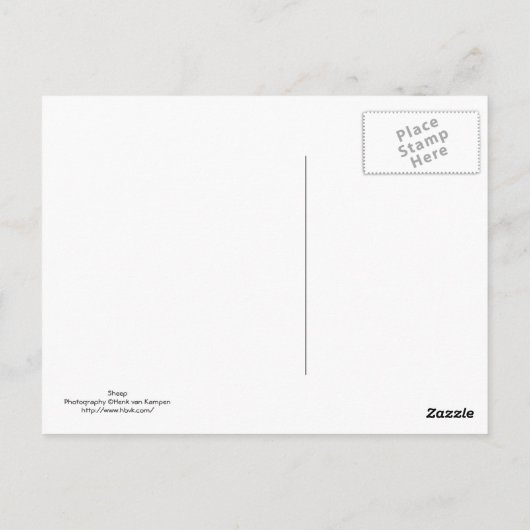 Carte Postale Mouton (Dos)