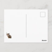 Carte Postale Mouton (Dos)