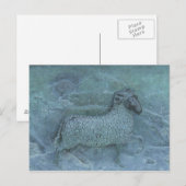 Carte Postale Mouton (Devant / Derrière)