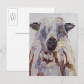 Carte Postale Mouton (Devant / Derrière)