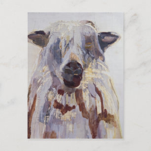 Carte Postale Mouton