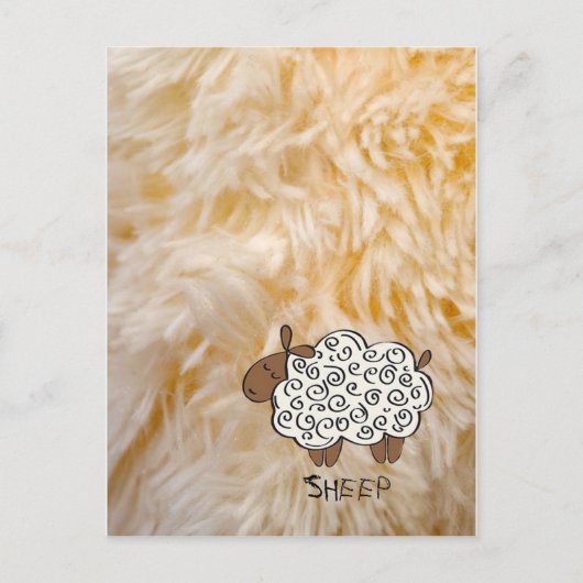 Carte Postale Mouton (Devant)