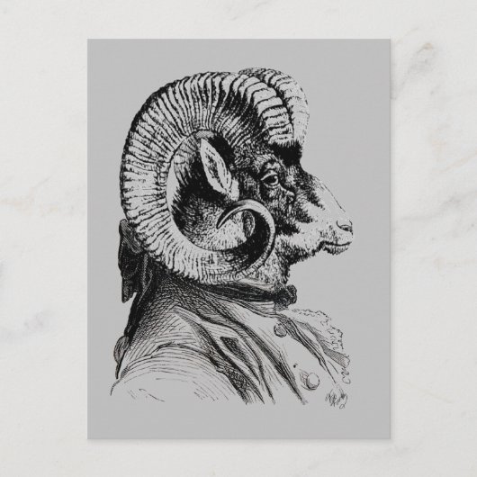 Carte Postale Mouton Bighorn En Costume (Devant)