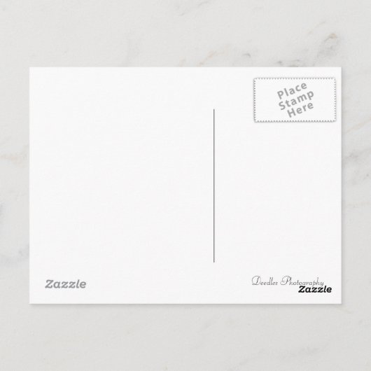 Carte Postale Mouton endormi (Dos)