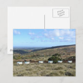 Carte Postale Mouton foncé (Devant / Derrière)