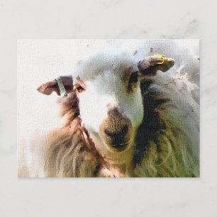 CARTE POSTALE MOUTON MIGNON