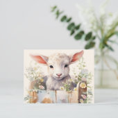 Carte Postale Mouton Mignon Blotti Dans Une Boîte (Debout devant)