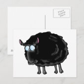 Carte Postale mouton noir (Devant / Derrière)