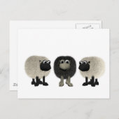 Carte Postale mouton noir (Devant / Derrière)