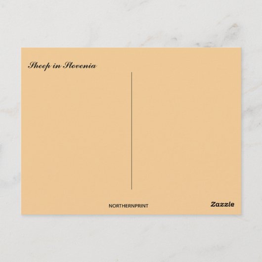 Carte Postale Moutons en Slovénie (Dos)