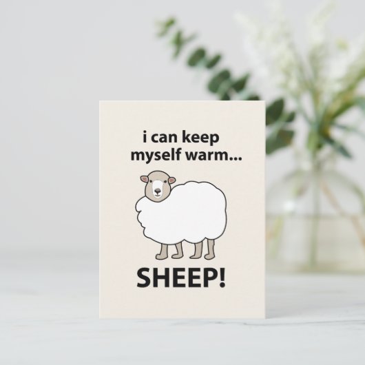 Carte Postale Moutons Je Peux Me Garder Moutons Chauds (Debout devant)