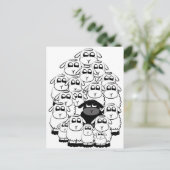 Carte Postale Moutons noirs (Debout devant)