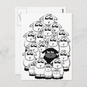 Carte Postale Moutons noirs (Devant / Derrière)
