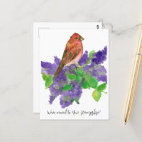 Moving Faire-part New Hampshire Finch Lilac