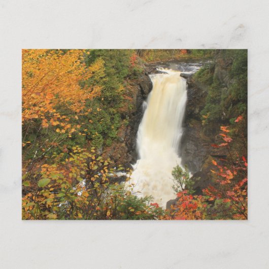 Carte Postale Moxie Falls à l'automne The Forks Maine (Devant)