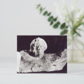 Carte Postale Mozart, 1911 (Debout devant)