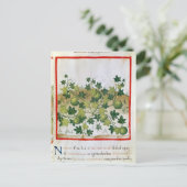 Carte Postale Ms 3054 fol.20 Melons, de 'Tacuinum Sanitatis' (Debout devant)