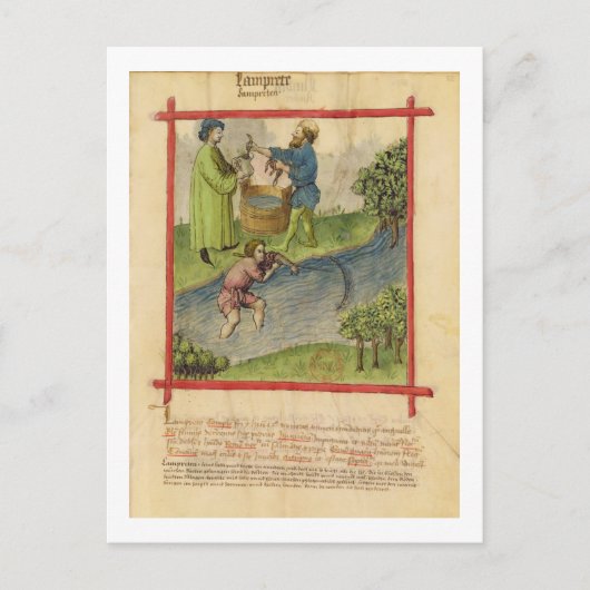 Carte Postale Ms Lat 9333 f.82 Fishing for Eels, de 'Tacuinum (Devant)