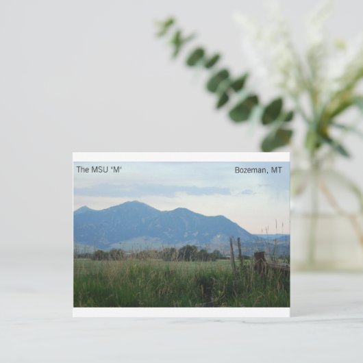 Carte postale MSU "M" (Debout devant)