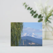 Carte postale Mt Adams (Debout devant)