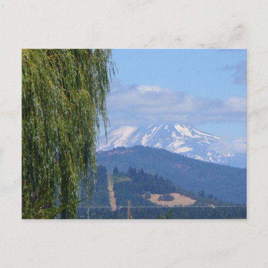 Carte postale Mt Adams (Devant)