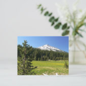 Carte Postale Mt Bachelor & Firs (Debout devant)