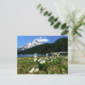 Carte Postale Mt Bachelor & Fleurs sauvages 1 (Debout devant)