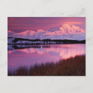 Carte Postale Mt. Denali au coucher du soleil depuis Reflection 