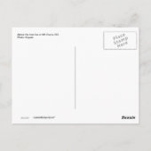 Carte Postale Mt. Evans, Colorado (Dos)